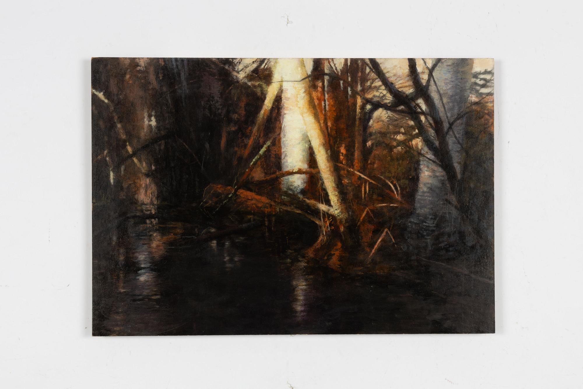 Anders Udd, "Vinterljus".