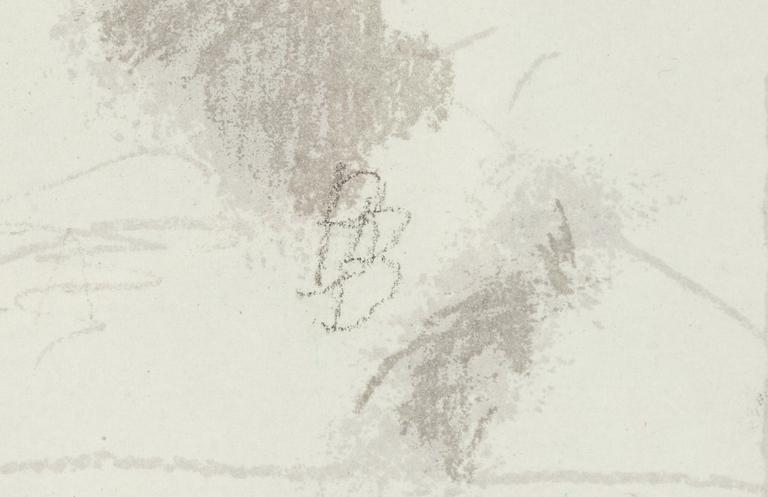 Birgit Broms, Skaters.