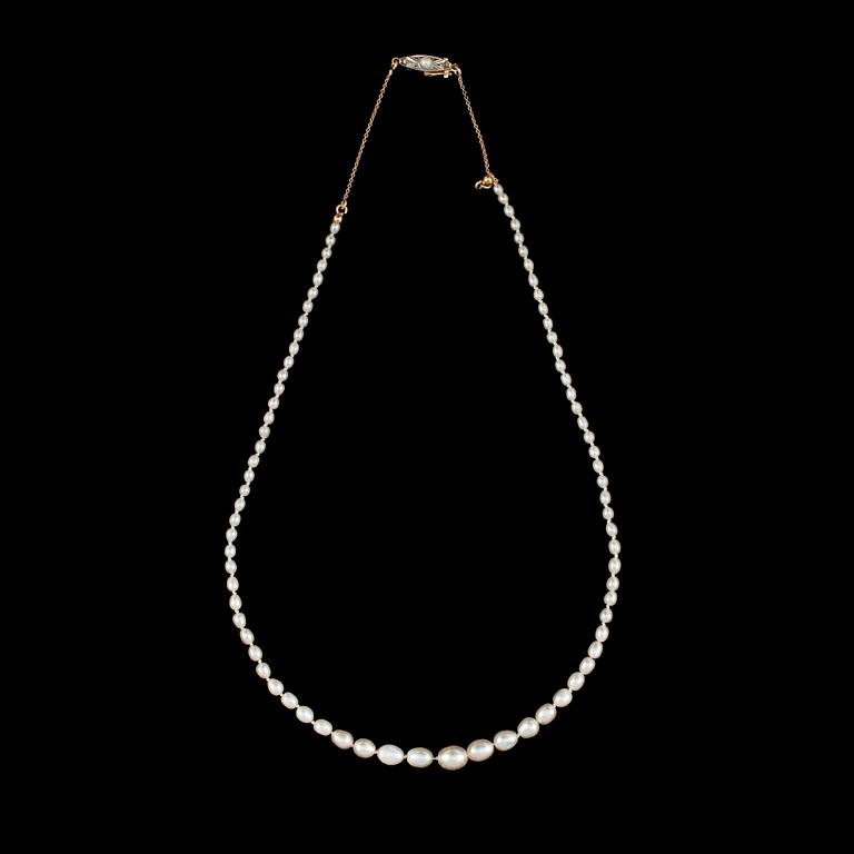 COLLIER med äkta samt odlade pärlor, lås i 18k guld.
