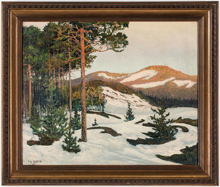 OKÄND KONSTNÄR, olja på duk, signerad T H Janson.
