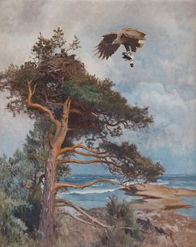 Bruno Liljefors, "The eagle-nest".