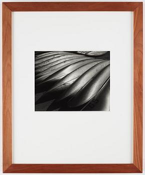 Gerry Johansson, photograph signed and dated 1990 on verso.