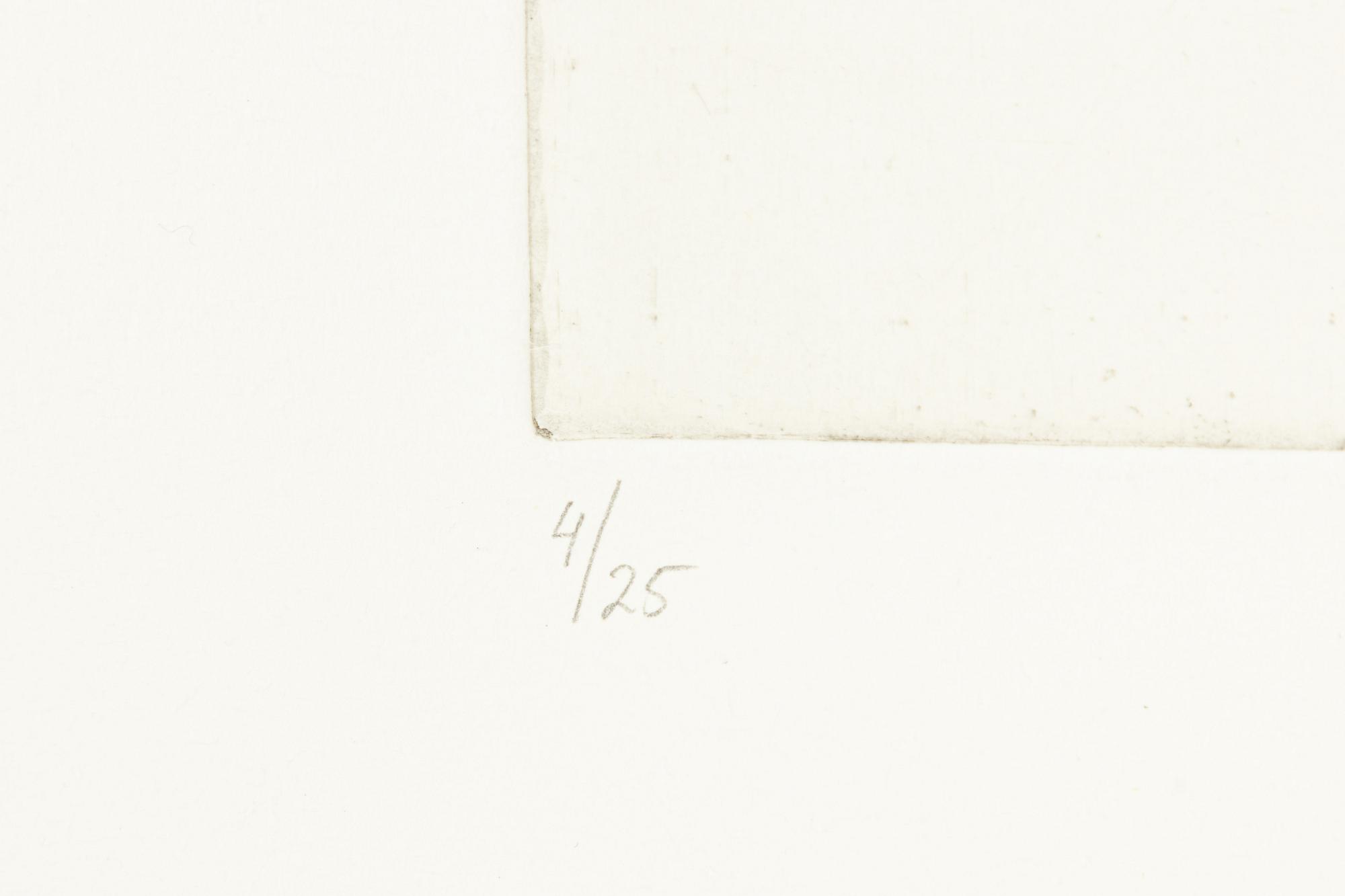 Linn Fernström, "Barn med glapp, noshörningsglapp".