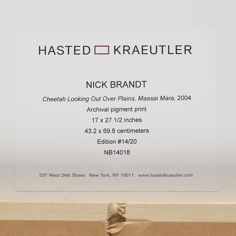 Nick Brandt, "Cheetah Looking Out over Plains, Masai Mara, 2004".