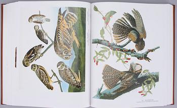 BOK, "Linnut", John James Audubon, numrerad upplaga 1050/2000, Weilin + Göös, 1990.