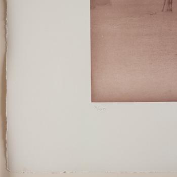 Denise Grünstein, "Jaisana", 2001.