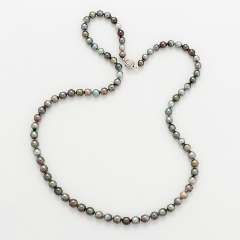 Collier odlade Tahiti-pärlor.