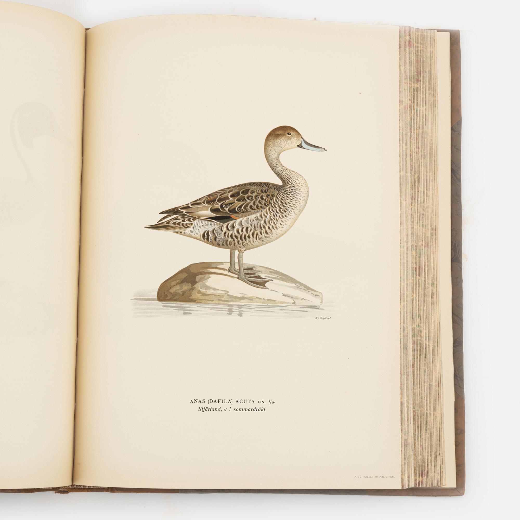 Three volumes of 'Svenska fåglar' by the von Wright brothers, printed at A.Börtsells Tryckeri AB, Stockholm, 1924-29.