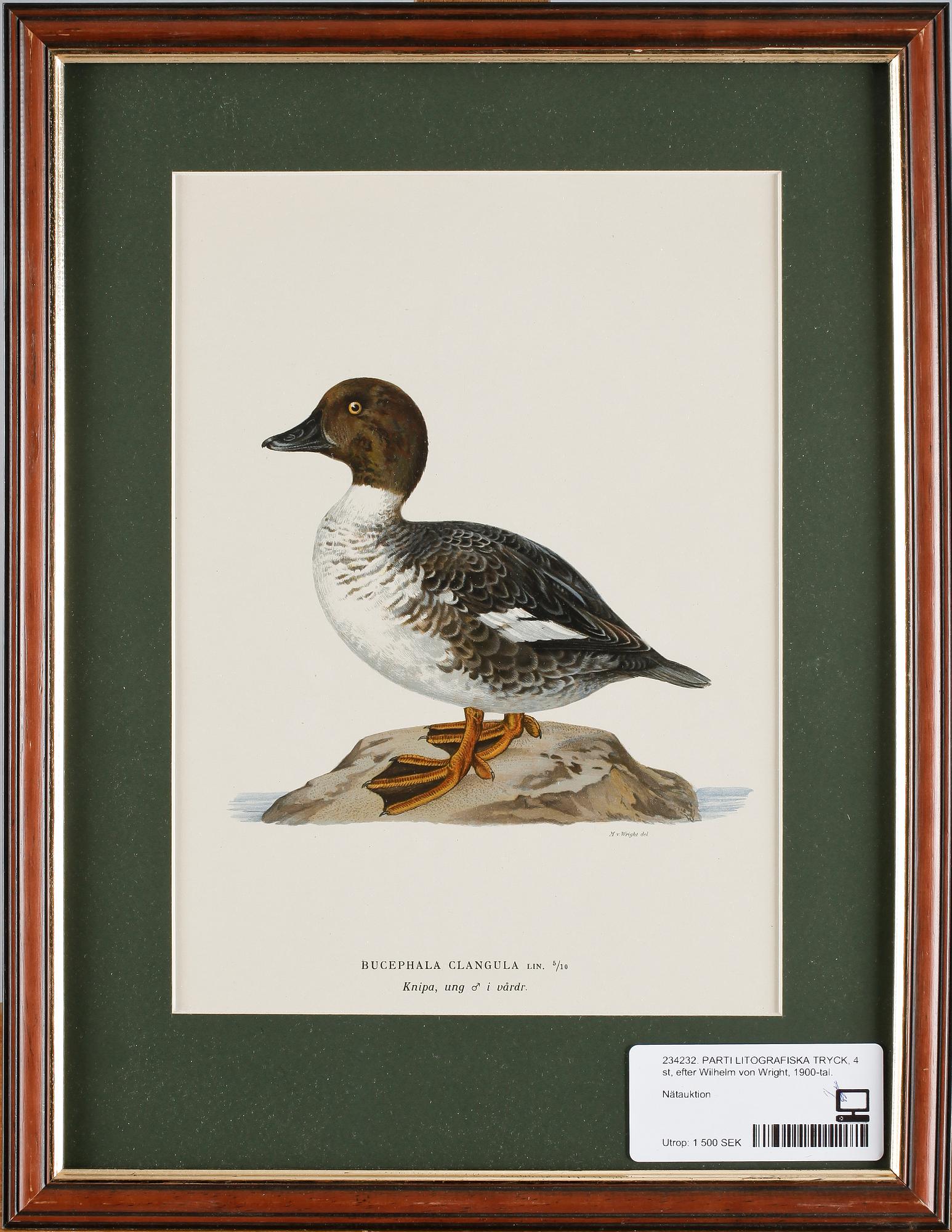 PARTI LITOGRAFISKA TRYCK, 4 st, efter Wilhelm von Wright, 1900-tal.