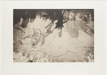 Janne Laine, heliograph and aquatint, signed and dated 2006, numbered 3/32.