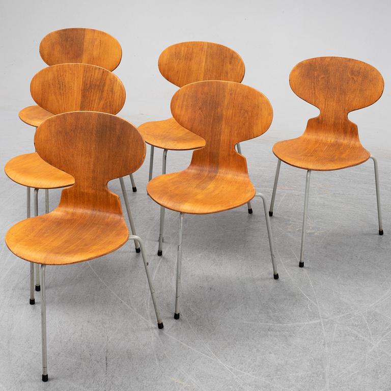ARNE JACOBSEN, six 'Ant' chairs, Friz Hansen, Denmark, 1950's.