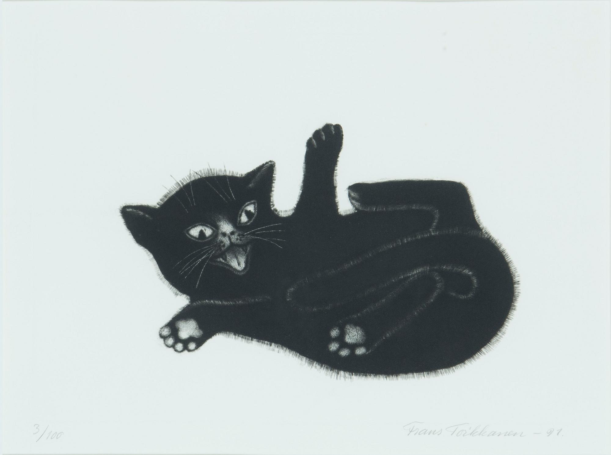 Frans Toikkanen, "Sähinää".