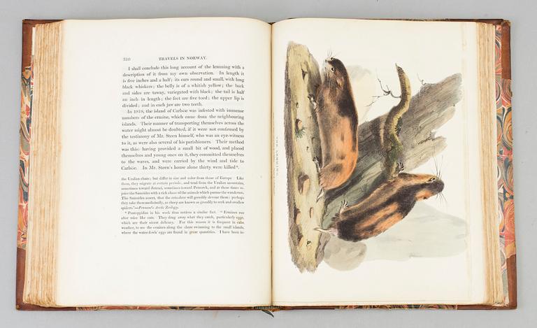 A book, Arthur de Capell Brooke: Travels through Sweden, Norway, and Finmark, London 1823.
