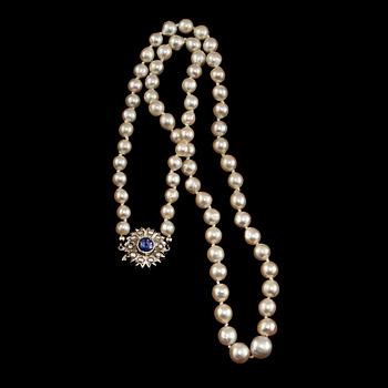 PÄRLCOLLIER, odlade pärlor med lås i 18k vitguld med 10 odlade pärlor och fasettslipad blå safir.