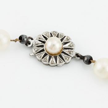 Pearl necklace, cultured pearls, white gold clasp with pearl.