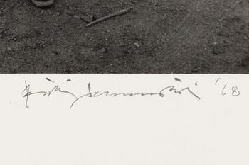 Pentti Sammallahti, Utan titel.