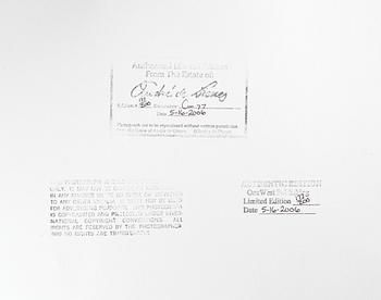 ANDRÉ DE DIENES, efter, chibachrome print, begränsad upplaga numr. 199/200.