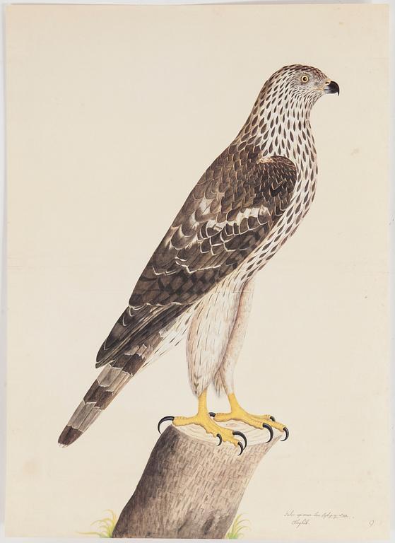 OLOF RUDBECK d.y., "Portföljen", numrerad 1244/1499,  René Coeckelberghs Editioner, 1986.