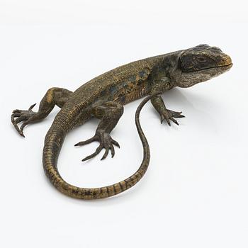 Franz Bergmann, nivelletty lisko, Wien, 1900-luvun alku.