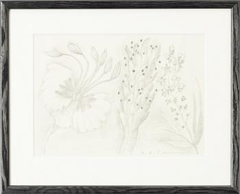 Karl Axel Pehrson, Flower Sketches.