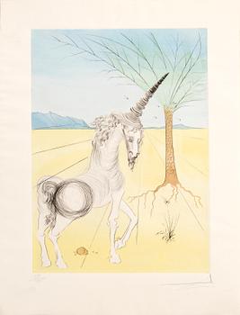 Salvador Dalí, "Joseph" ur "Twelve Tribes of Israel" 1973.