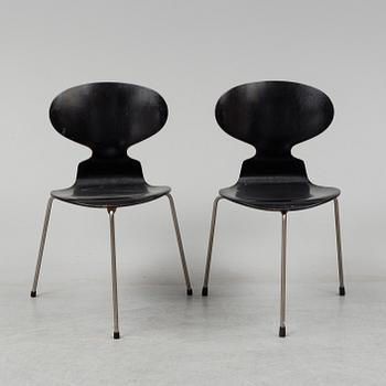 Eight 'Ant' chairs by Arne Jacobsen for Fritz Hansen.