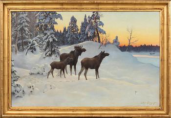 Axel Borg, Winter landscape with a moose family.