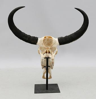 SKULPTUR, 2000-tal.