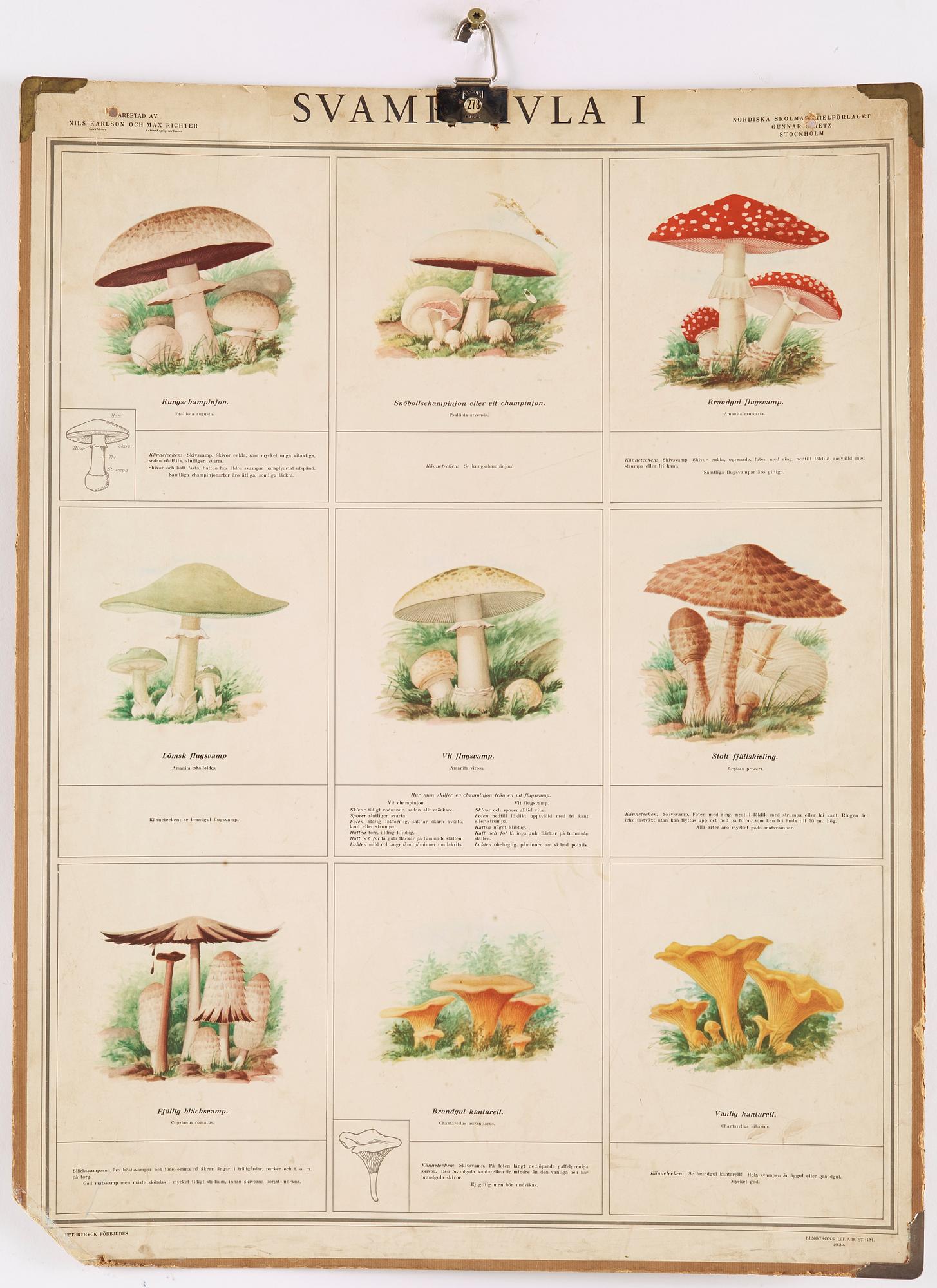 SKOLPLANSCHER, 2 st, Gunnar Saietz AB, 1900-talets mitt.