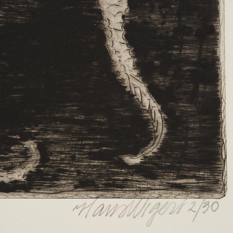 Hans Wigert, Sea horses.