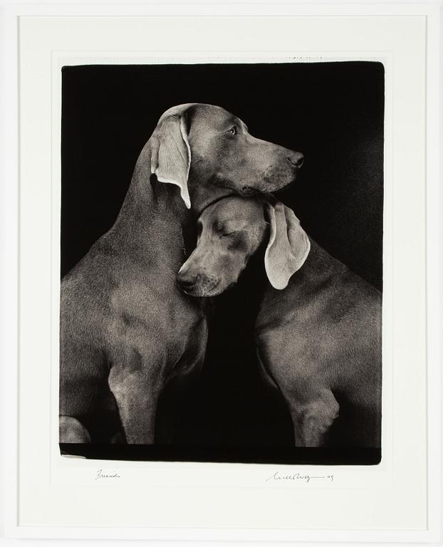 William Wegman, "Friends".