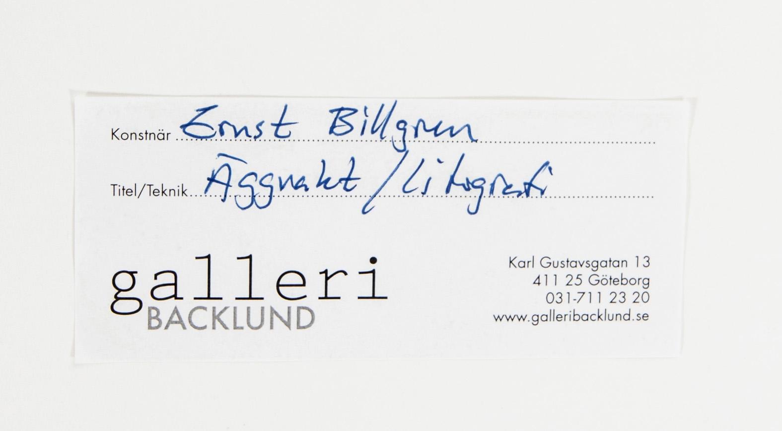 Ernst Billgren, "Äggvakt" – Ur portföljen "Vid vägens slut".