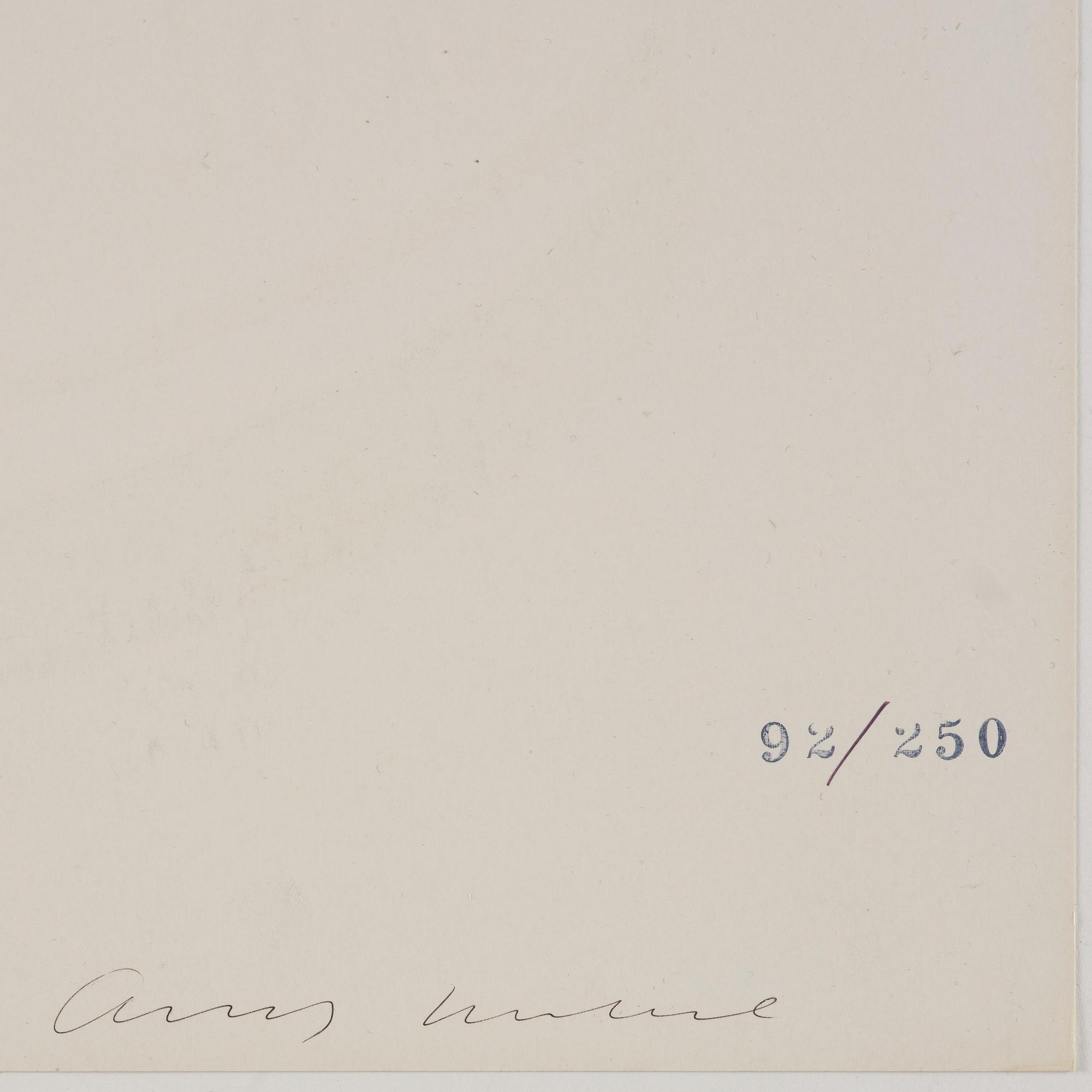 Andy Warhol, "Tomato-Beef Noodle O's", (from: "Campbell's Soup II").