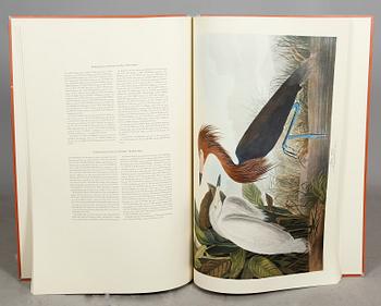 BOK, "The birds of America", av John James Audubon.