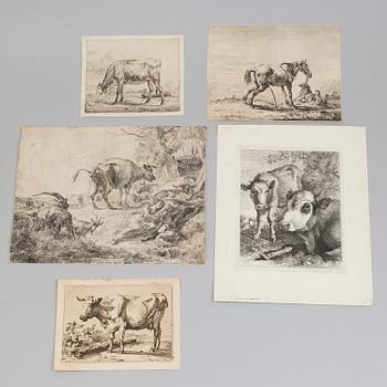 5 engravings, 18th century, amongst others C P Berghem and van der Velde.