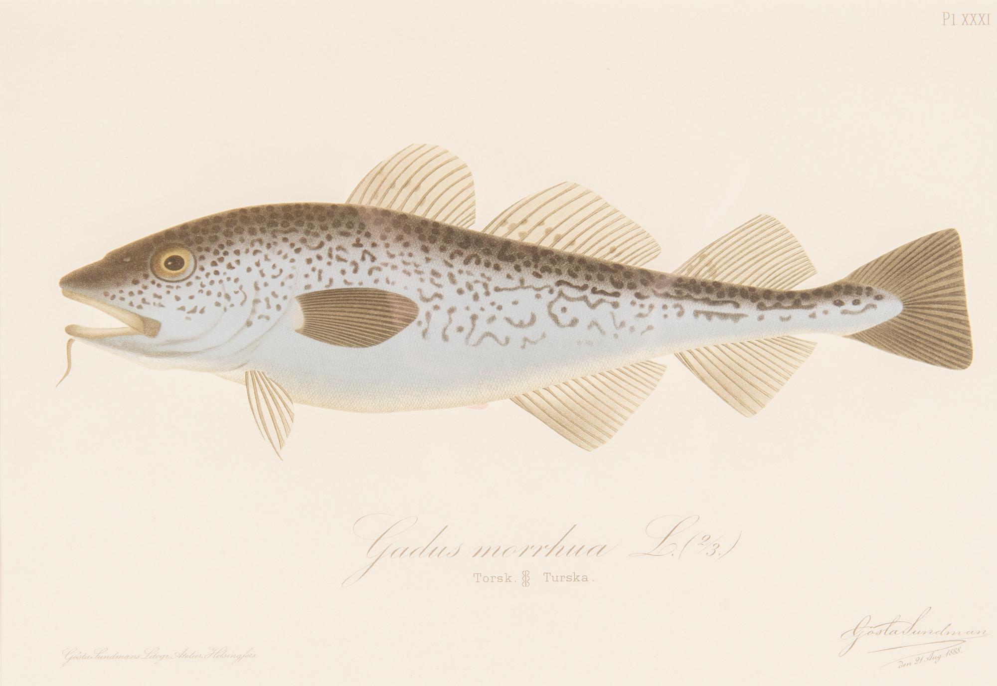 Gösta Sundman, Kromolitografiat, 3 kpl.