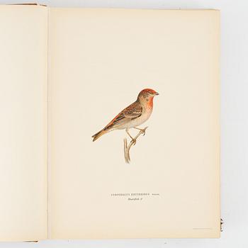 Three volumes of 'Svenska fåglar' by the von Wright brothers, printed at A.Börtsells Tryckeri AB, Stockholm, 1924-29.