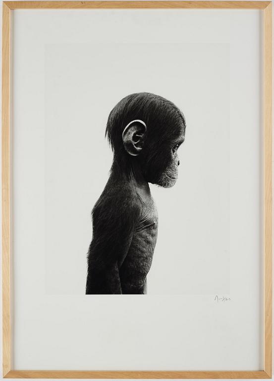 Ulf Rollof, pigment print, signed, dated 2013, edition 100.