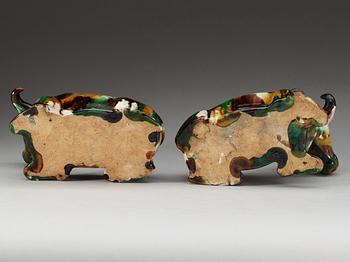 A pair of 'egg and spinach' glazed figures of reclining water buffalo's, Qing dynasty, Kangxi.