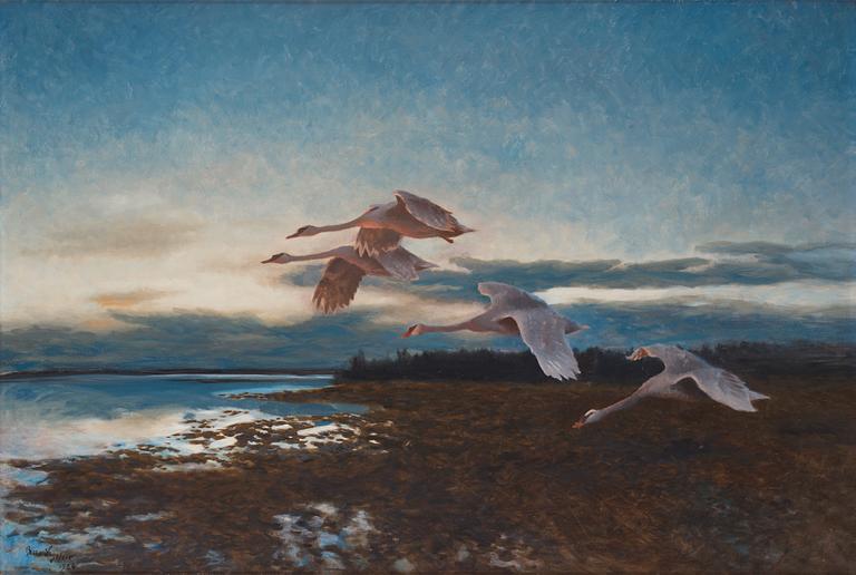 Bruno Liljefors, Twilight landscape with stretching swans.