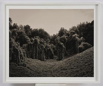 Helene Schmitz, "Alabama Fields", 2013.