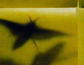 Mike & Doug Starn (Starn Twins), "ATL Film Still #8", 2000-2003.