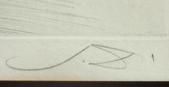 SALVADOR DALI, färgetsning, sign o numr 71/125.