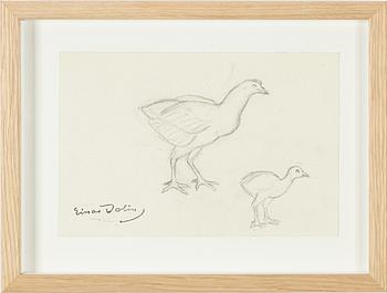 Einar Jolin, Birds.