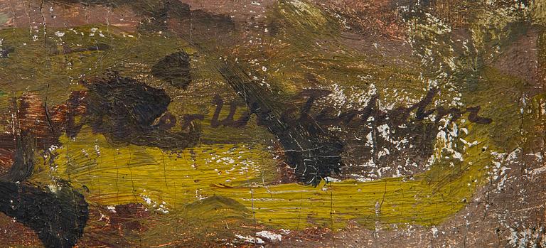 Victor Westerholm, From Knutsboda mountains.