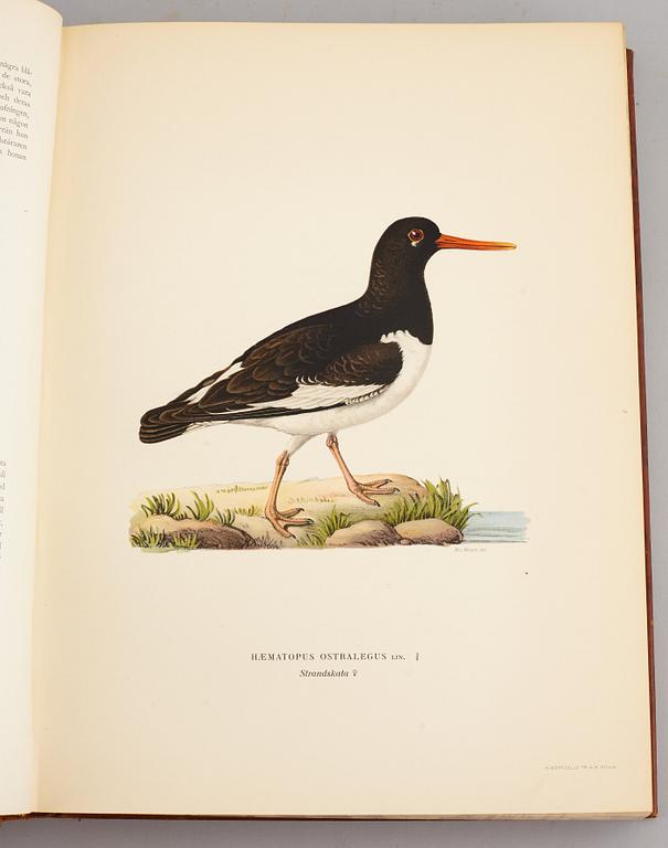 A set of three books about Swedish birds by von Wright. 1927.
