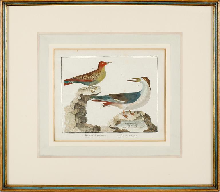 GRAVYRER, 2 st, efter Martinet, kolorerade, 1800-tal.