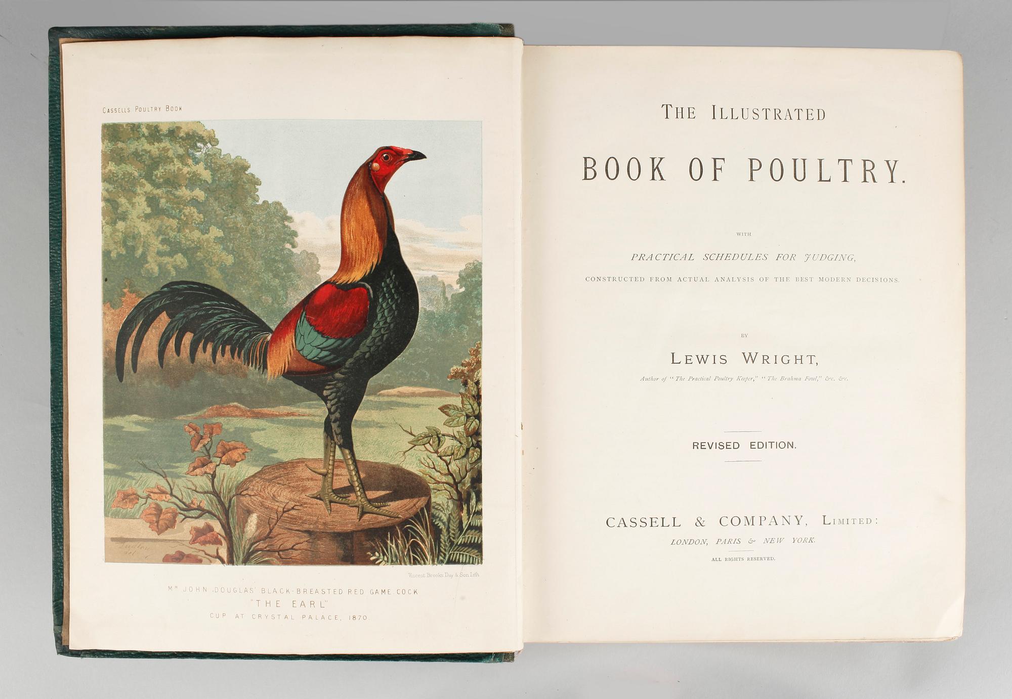 BOK, "The illustrated Book of Poultry" av Lewis Wright, Casell & Co, trol omkr 1900.