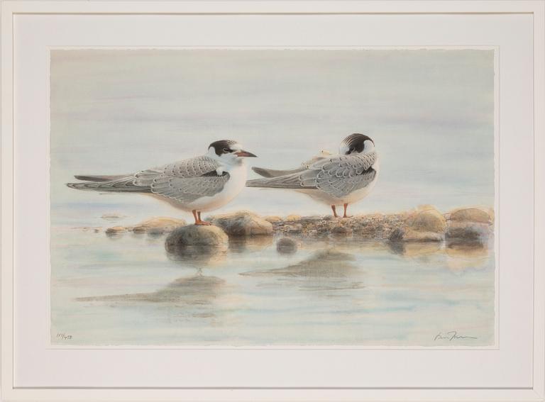 Lars Jonsson, lithograph in colours, signed 117/450.