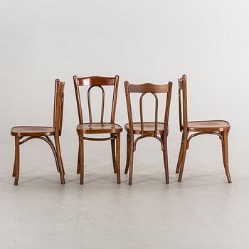 STOLAR, 6 st, thonet-typ 1900-tal.